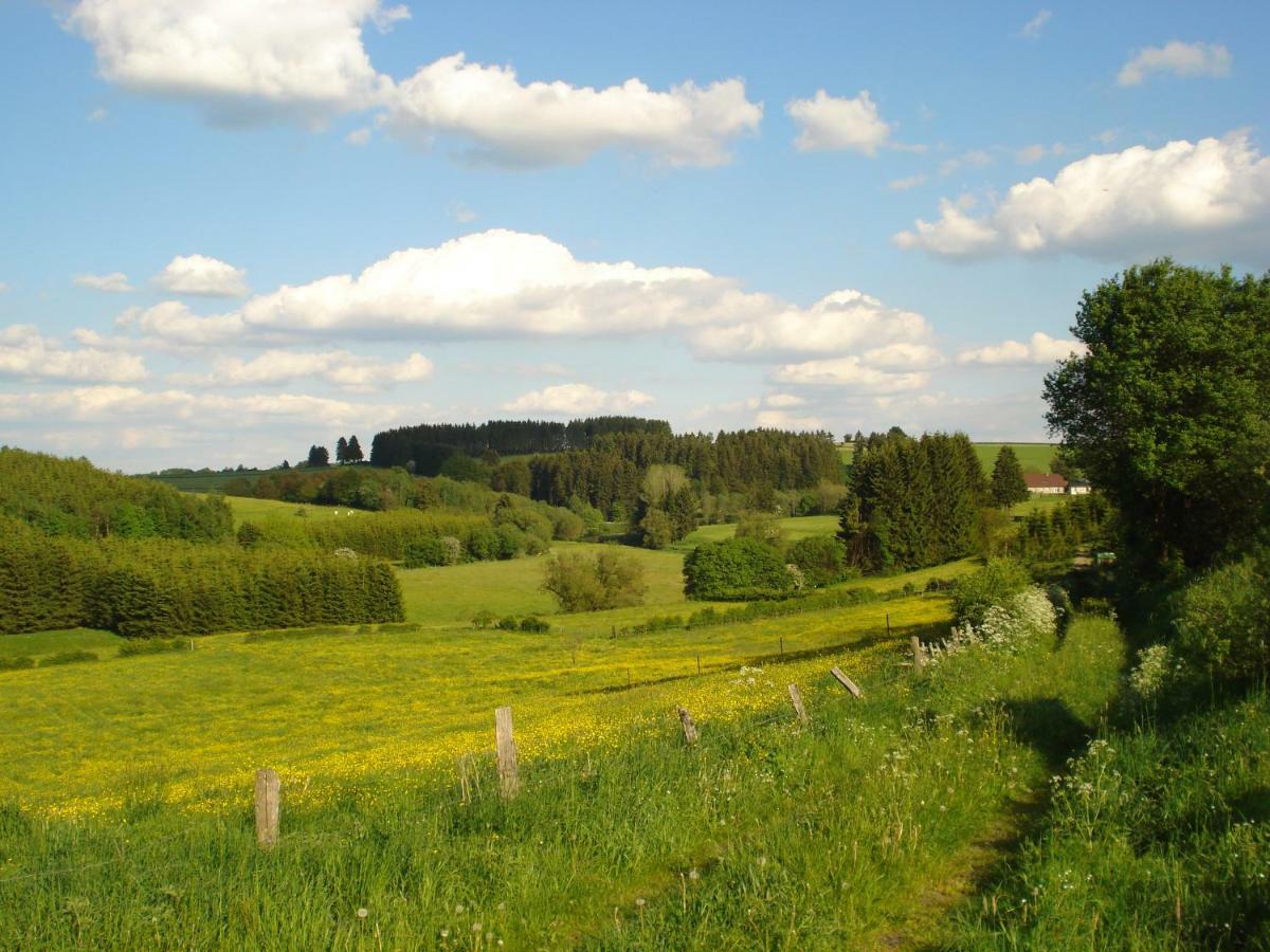 Location Panoramagreen Burg-Reuland Kültér fotó