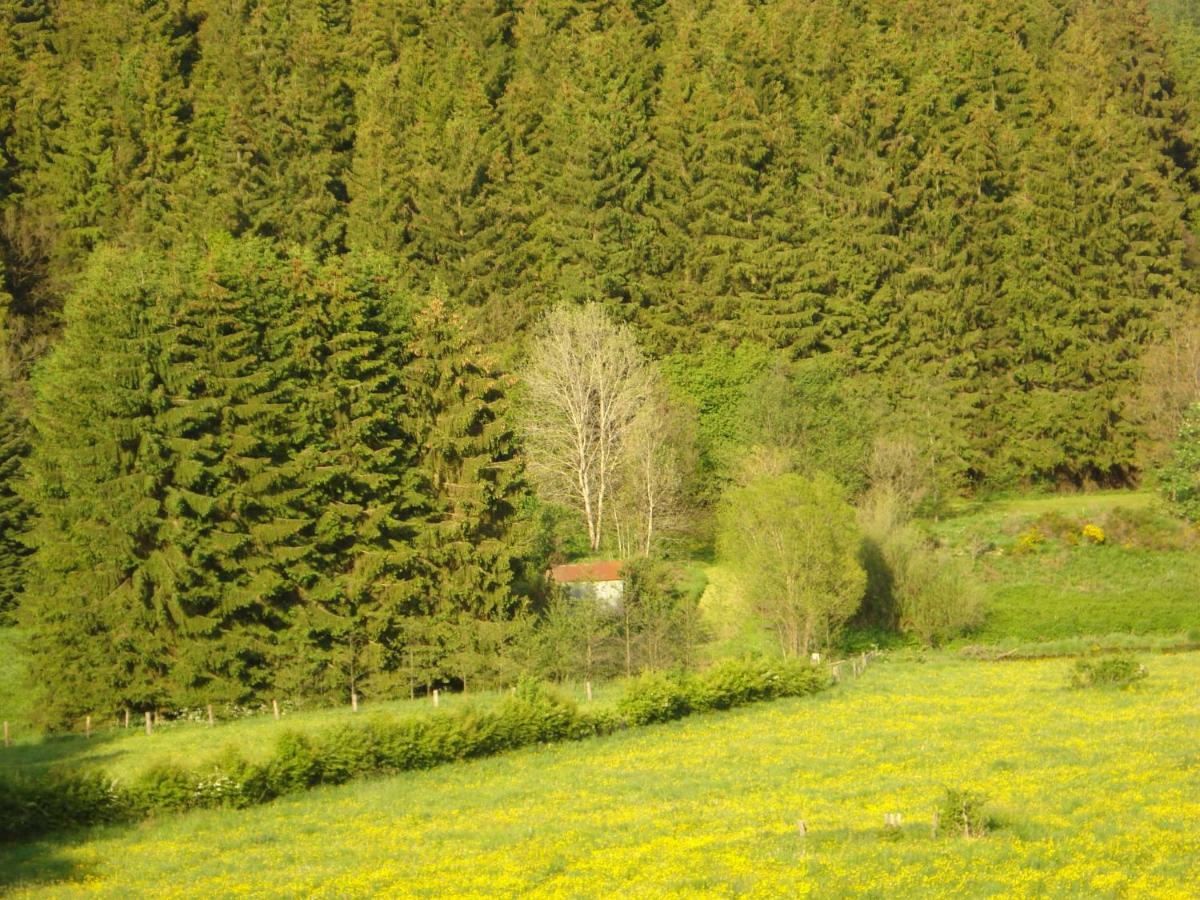 Location Panoramagreen Burg-Reuland Kültér fotó