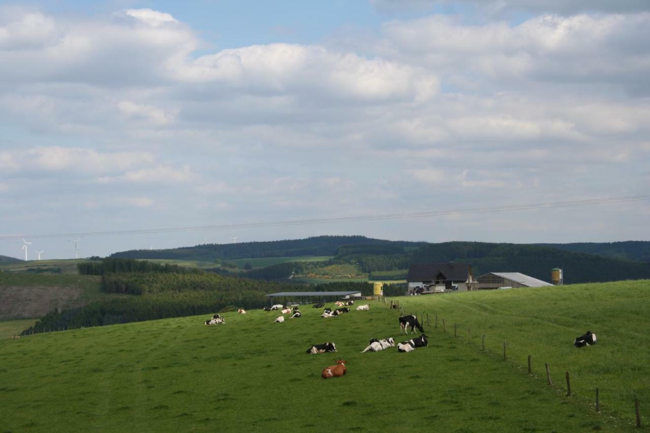 Location Panoramagreen Burg-Reuland Kültér fotó